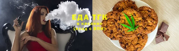 индика Абаза