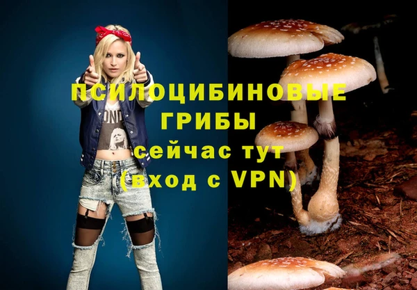 индика Абаза