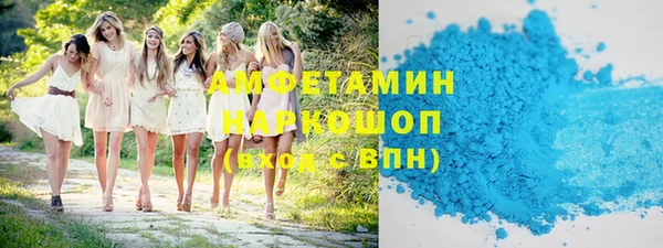индика Абаза
