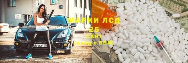 индика Абаза