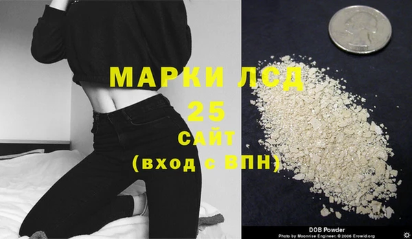 индика Абаза