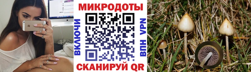 Псилоцибиновые грибы Magic Shrooms  Алексин 