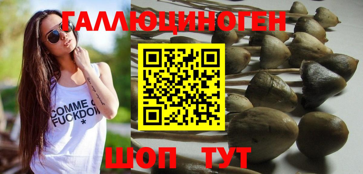 Псилоцибиновые грибы Psilocybe  Вход с VPN  Псилоцибиновые грибы Magic Shrooms  Алексин 