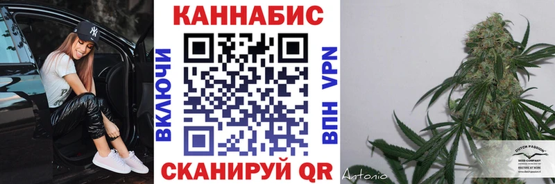 цена   Алексин  Шишки марихуана MAZAR 